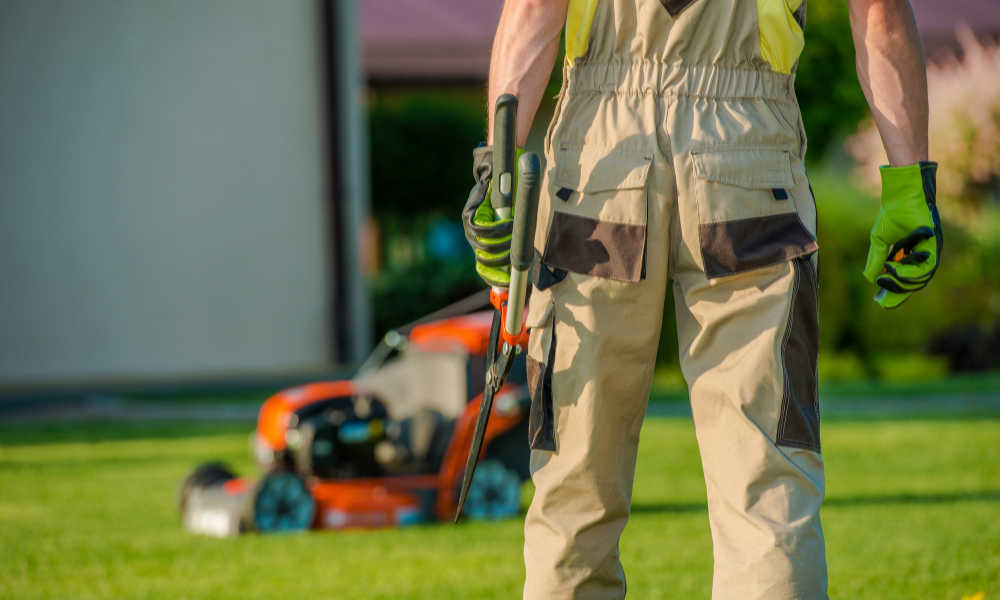 Servicios de jardineria